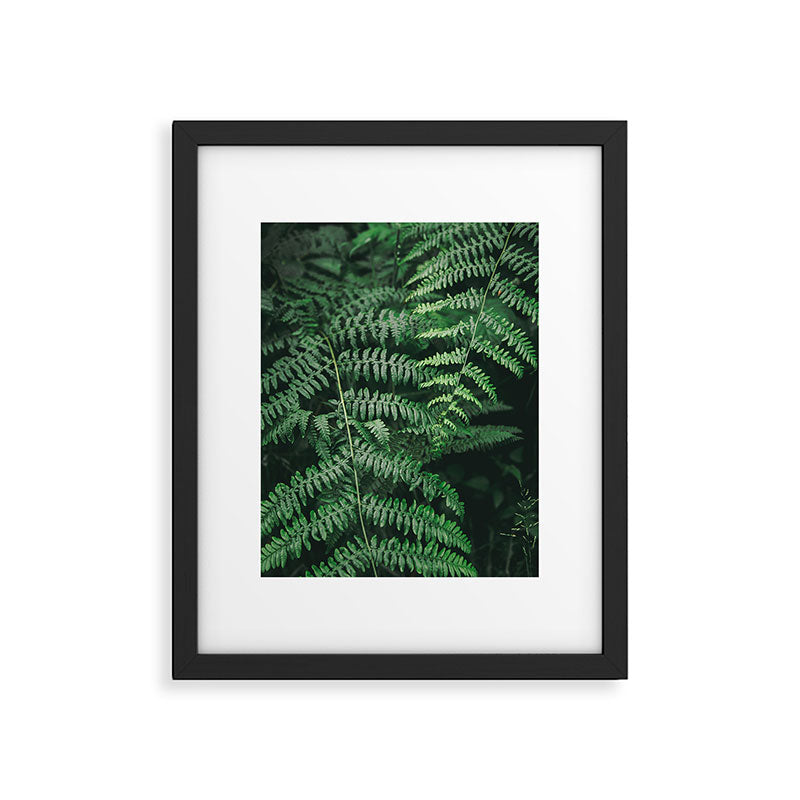 Ferns VI Framed Art Print Gallery Image 5