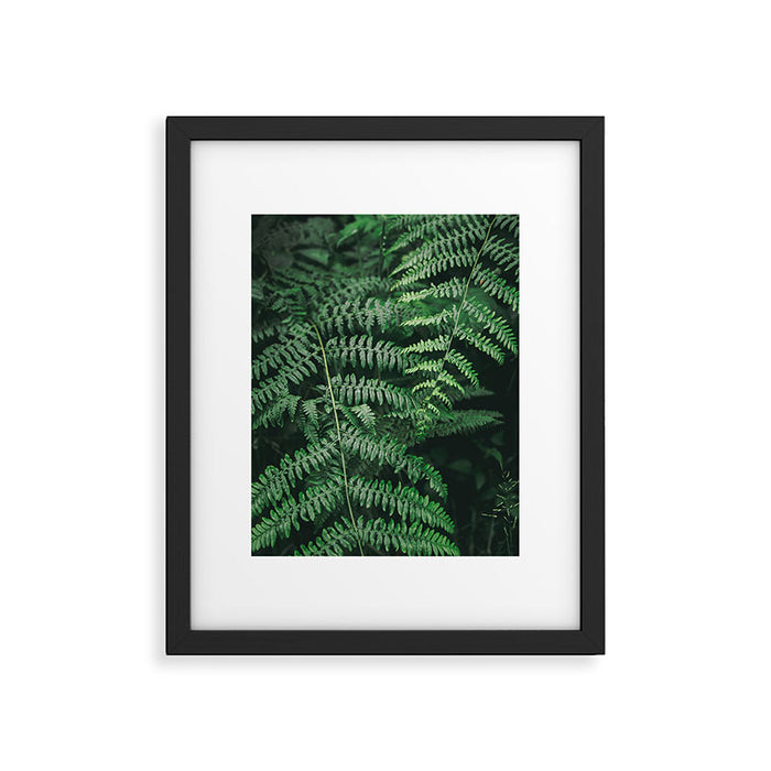 Ferns VI Framed Art Print Gallery Image 1