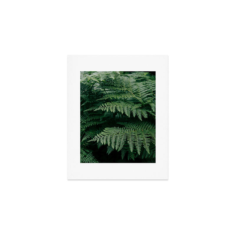 Ferns VII Art Print Gallery Image 1