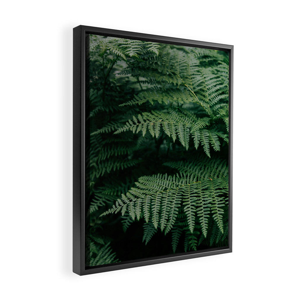 Ferns VII Framed Canvas Print Gallery Image 2