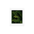 Ferns VIII Art Print Gallery Image 1
