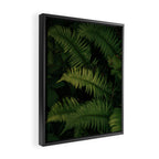 Ferns VIII Framed Canvas Print Gallery Image 2