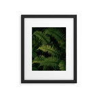 Ferns VIII Framed Art Print Gallery Image 5