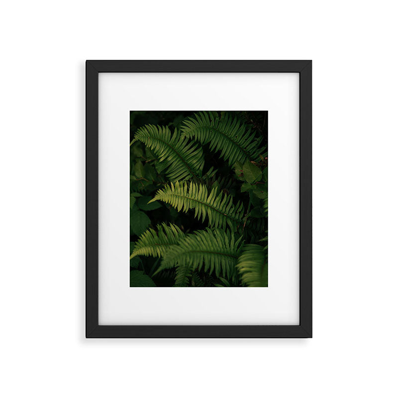 Ferns VIII Framed Art Print Gallery Image 5