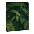 Ferns X Canvas Print Gallery Image 6