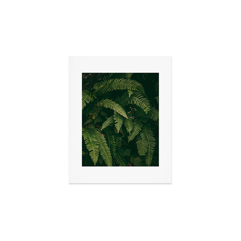 Ferns X Art Print Gallery Image 1