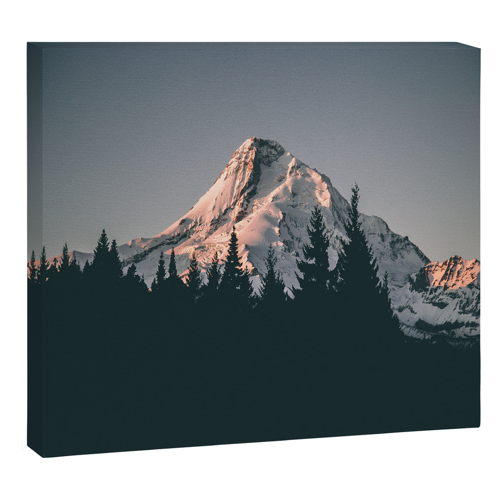 First Light on Mount Hood Canvas Print Gallery Image 6