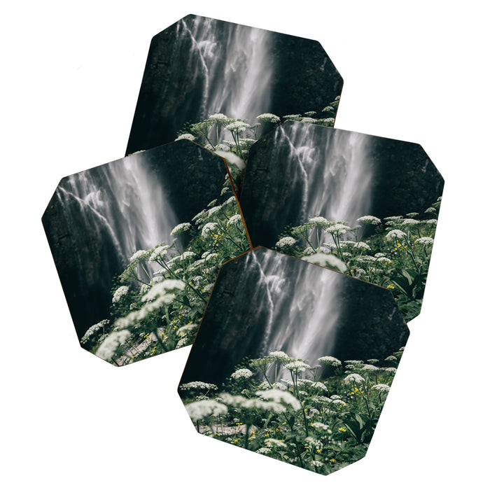Floral Falls Coaster Gallery Image 1