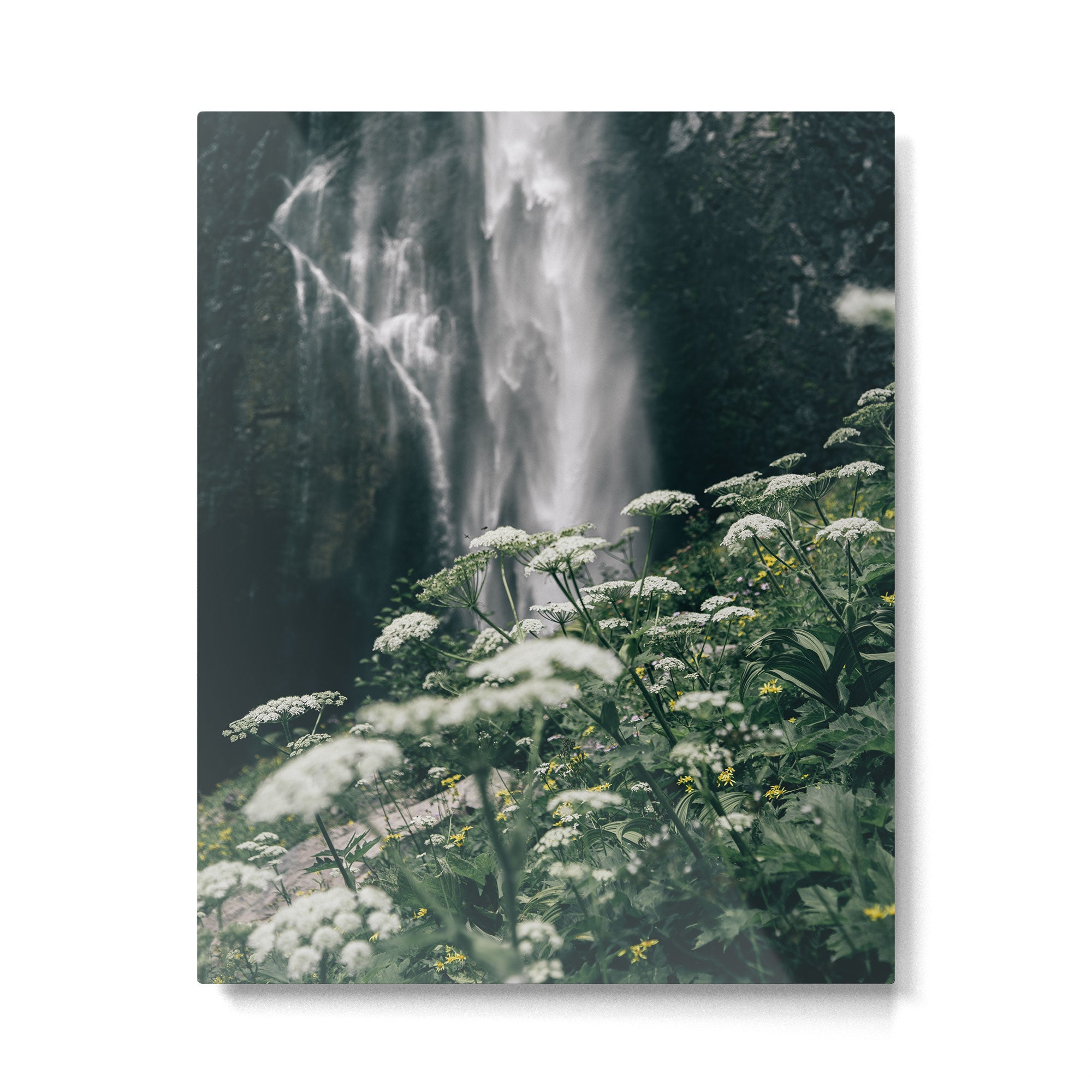 Floral Falls Metal Print Gallery Image 4
