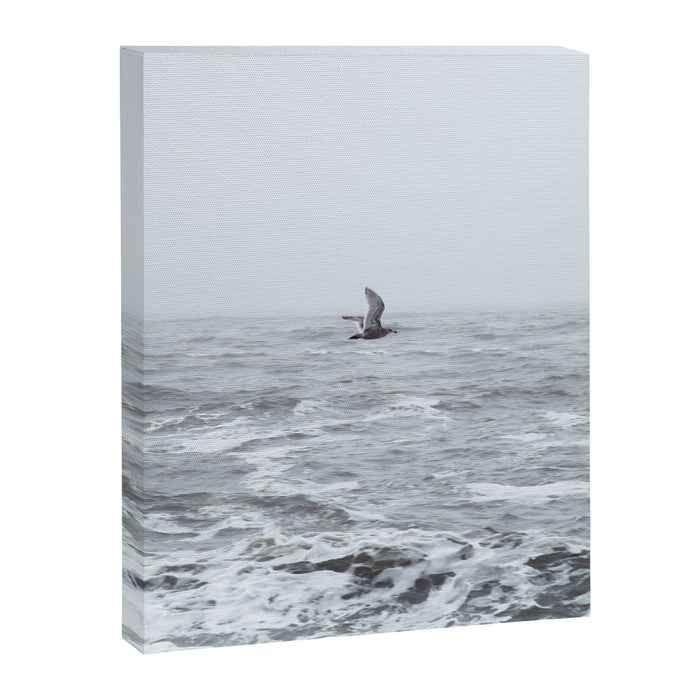 Fly By Canvas Print Gallery Image 1