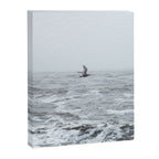 Fly By Canvas Print Gallery Image 6