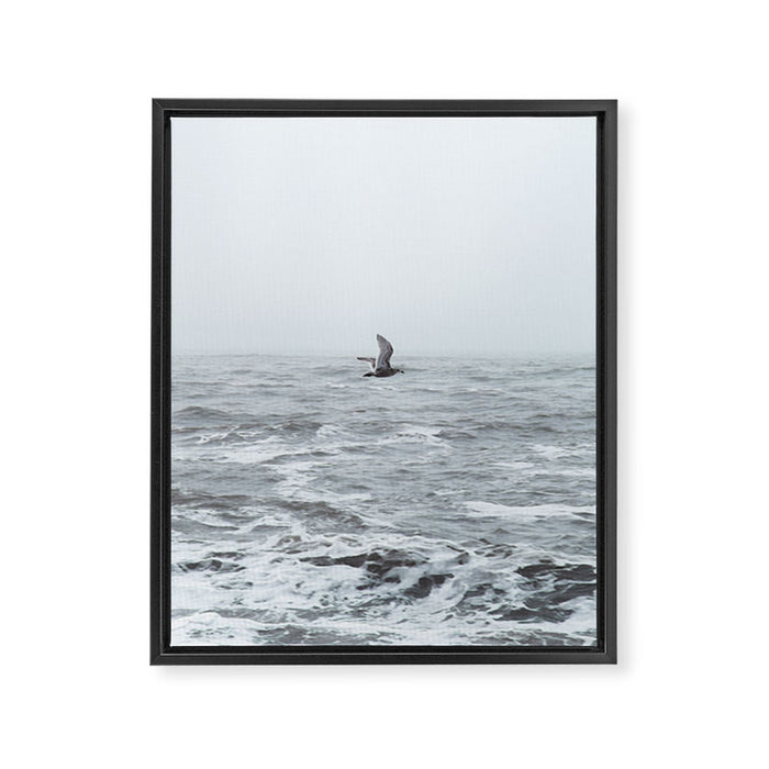 Fly By Framed Canvas Print Gallery Image 1