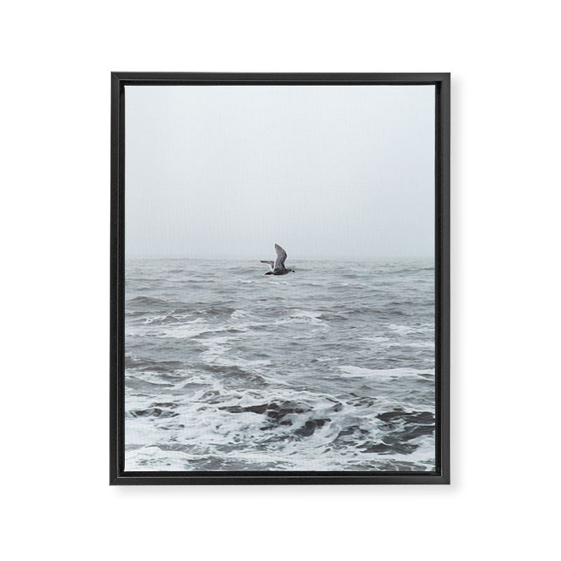 Fly By Framed Canvas Print Gallery Image 6