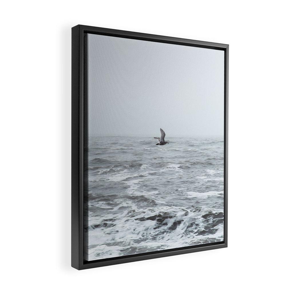 Fly By Framed Canvas Print Gallery Image 2