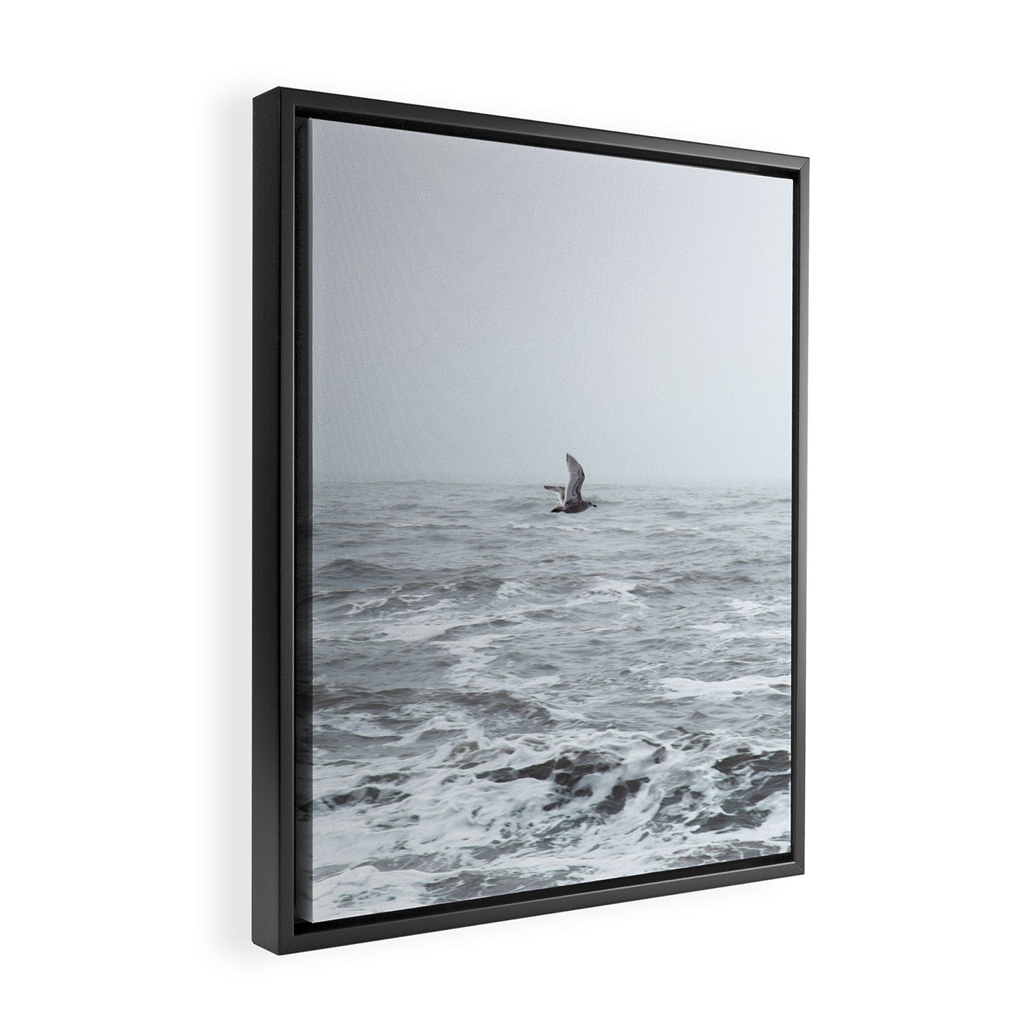 Fly By Framed Canvas Print Gallery Image 2