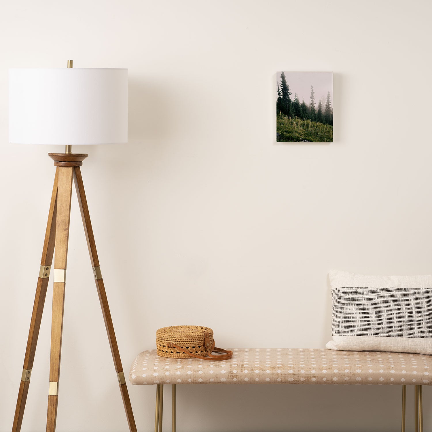 Foggy Green Forest Canvas Print Gallery Image 2