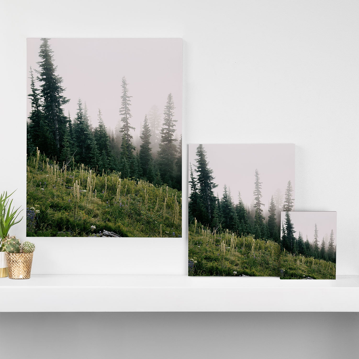 Foggy Green Forest Canvas Print Gallery Image 3