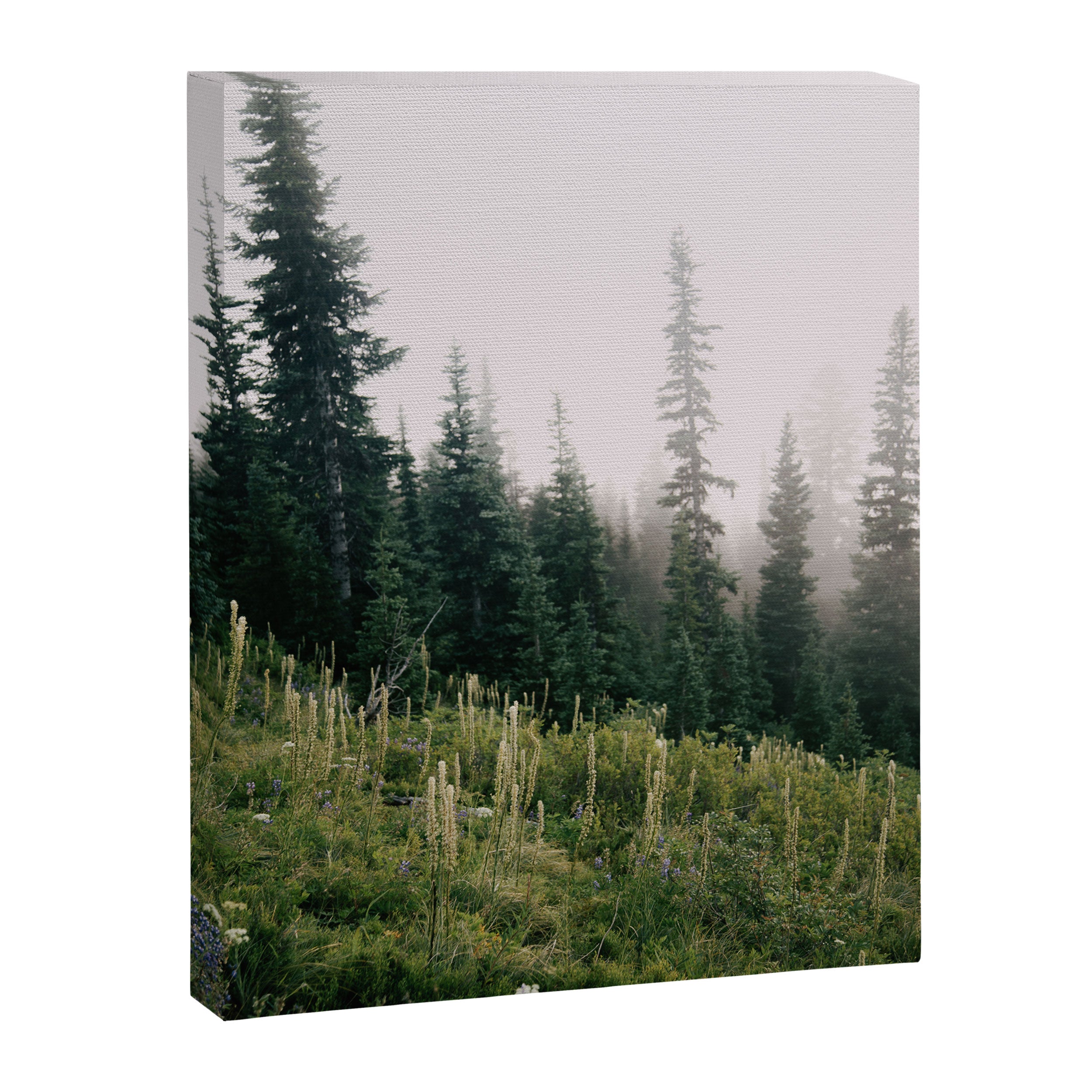 Foggy Green Forest Canvas Print Gallery Image 3