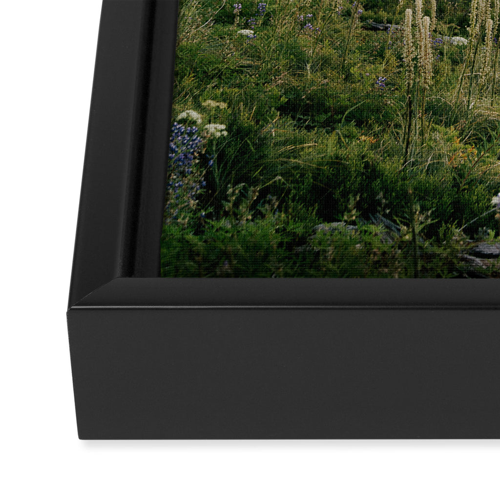 Foggy Green Forest Framed Canvas Print Gallery Image 3