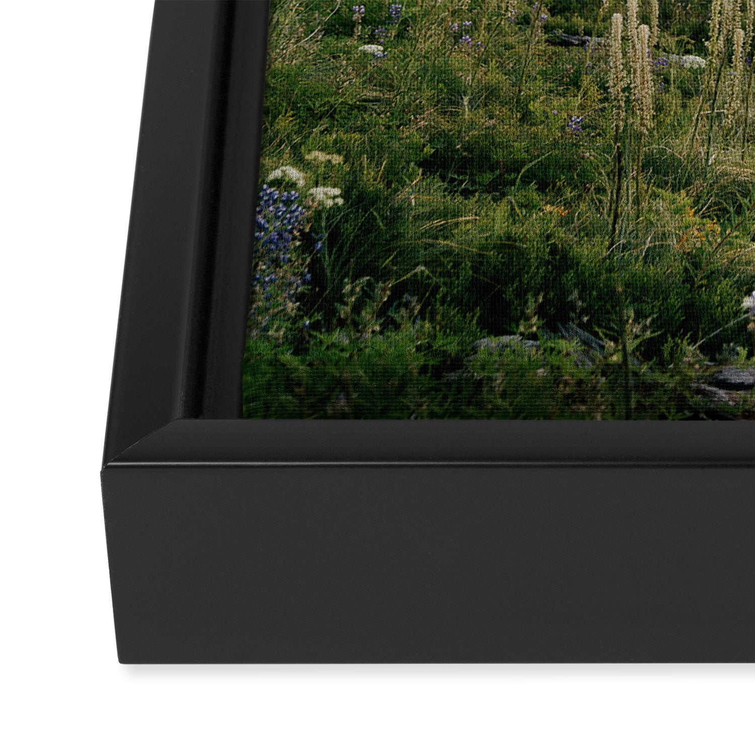 Foggy Green Forest Framed Canvas Print Gallery Image 3
