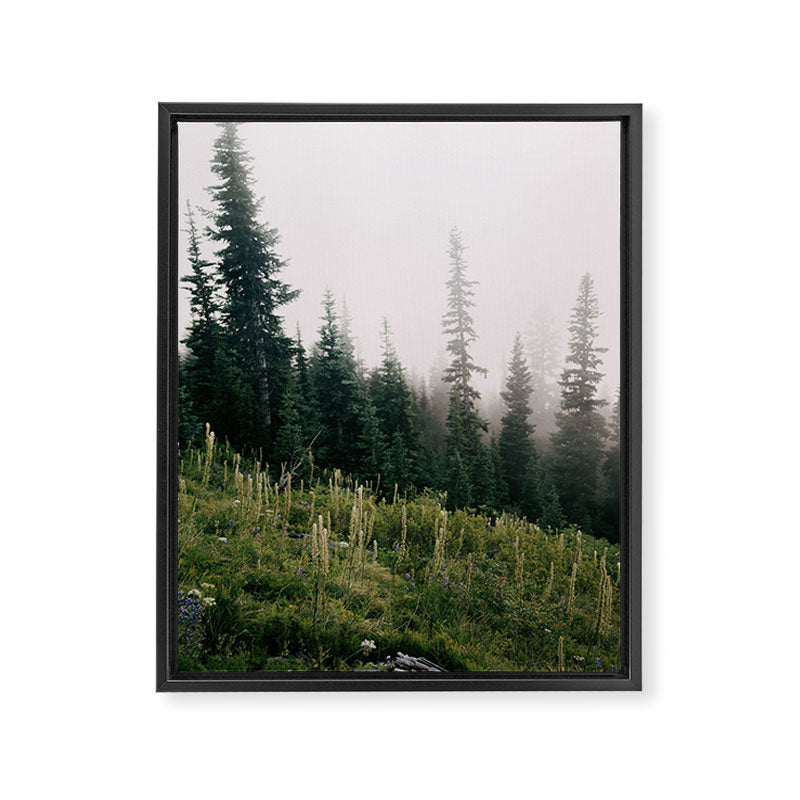 Foggy Green Forest Framed Canvas Print Gallery Image 6