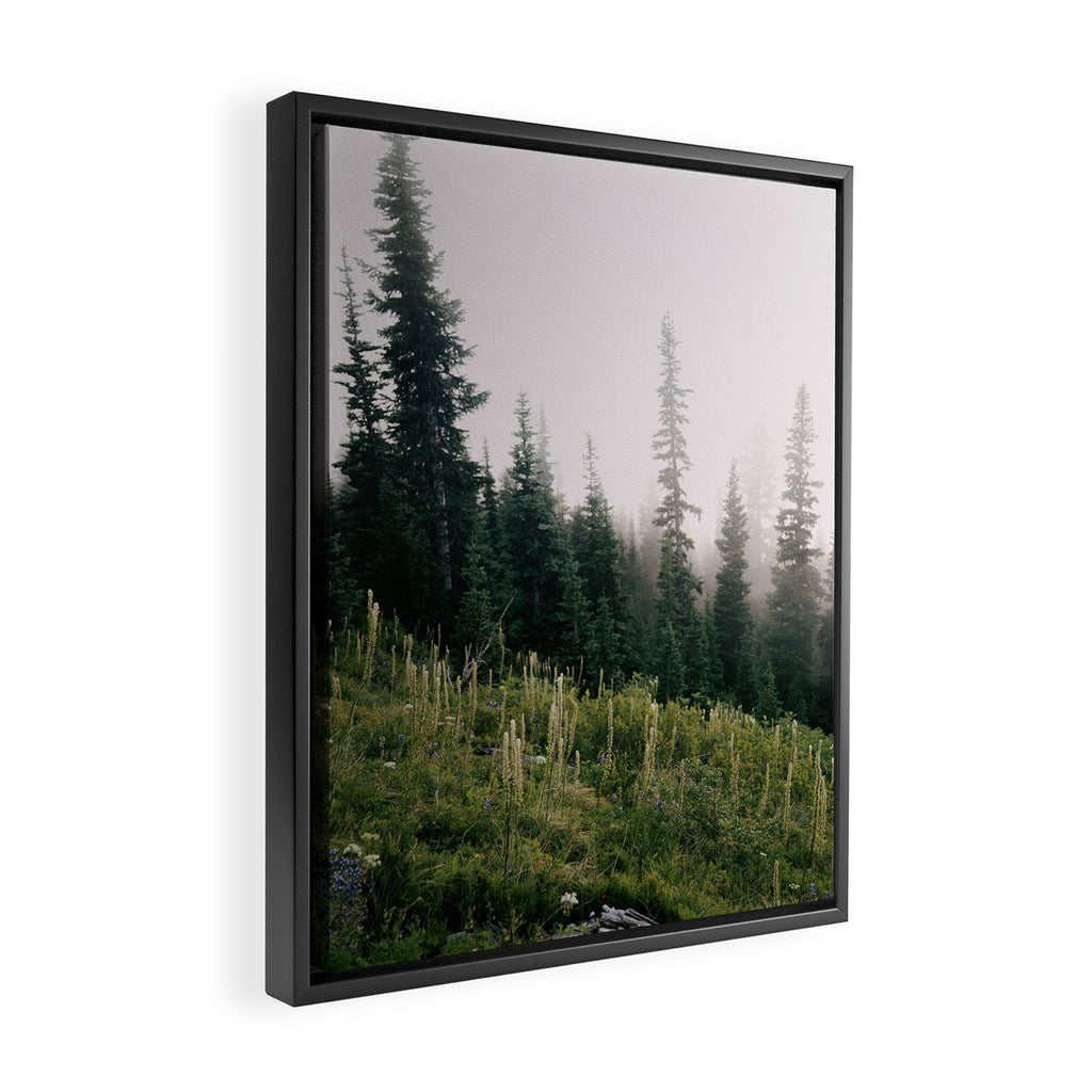 Foggy Green Forest Framed Canvas Print Gallery Image 2