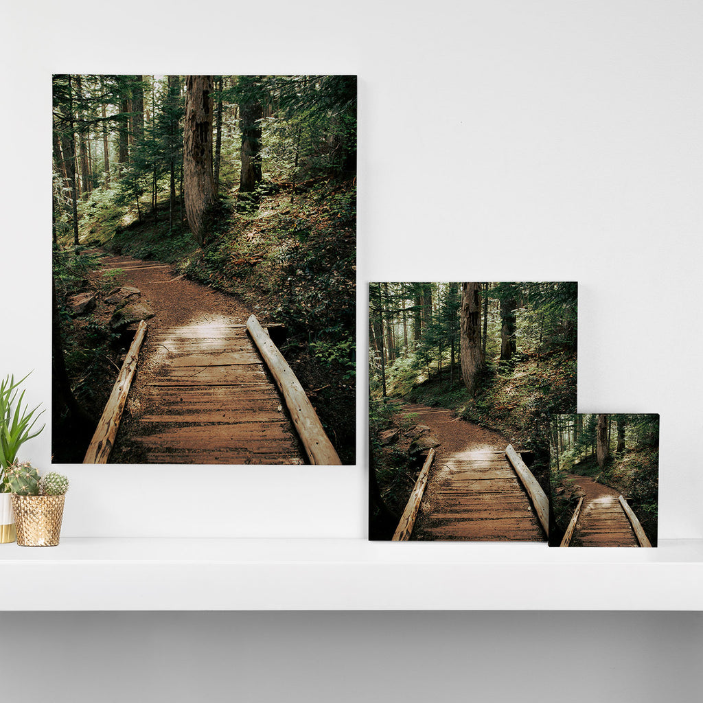 Follow Me Canvas Print Gallery Image 3
