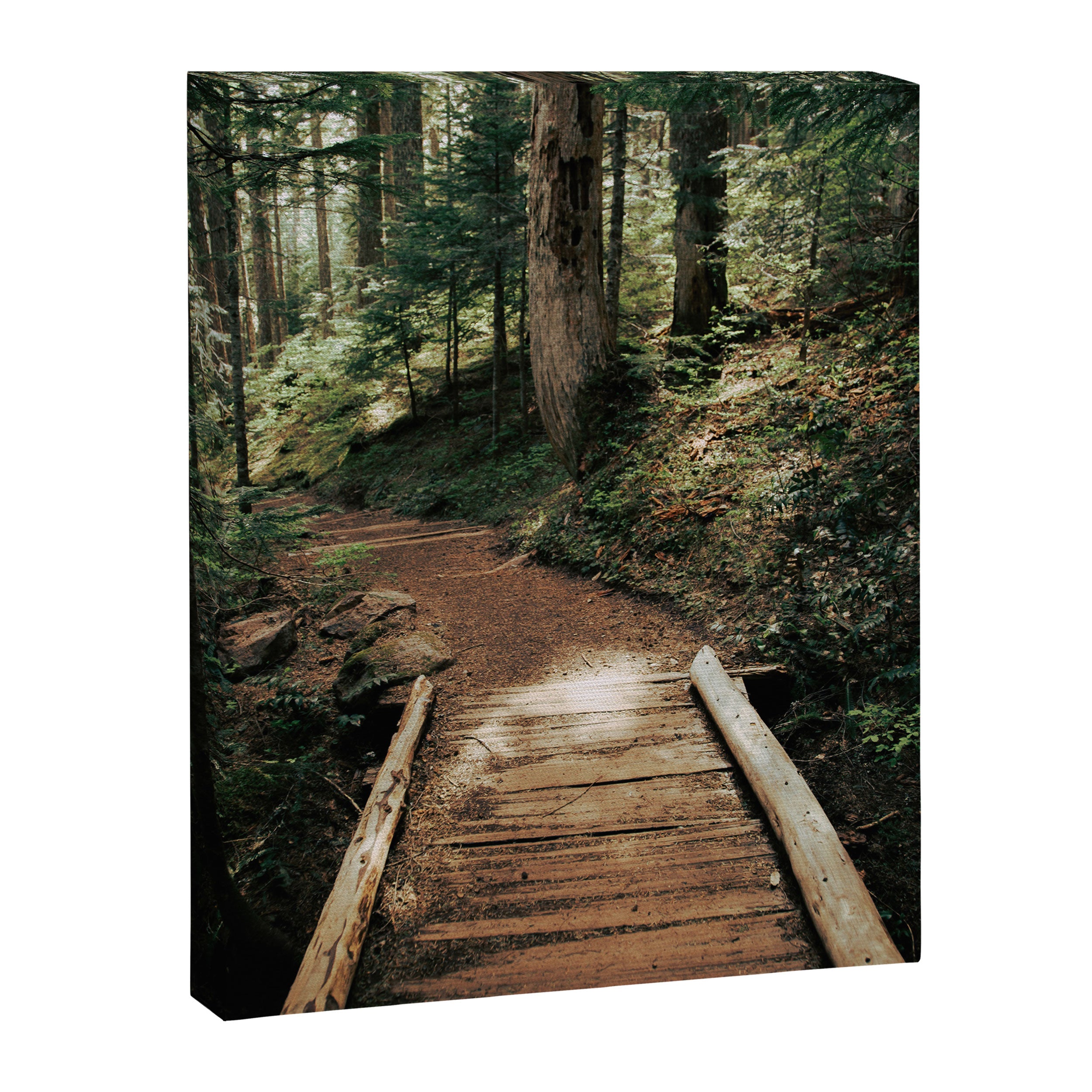 Follow Me Canvas Print Gallery Image 3