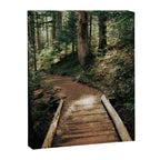 Follow Me Canvas Print Gallery Image 6