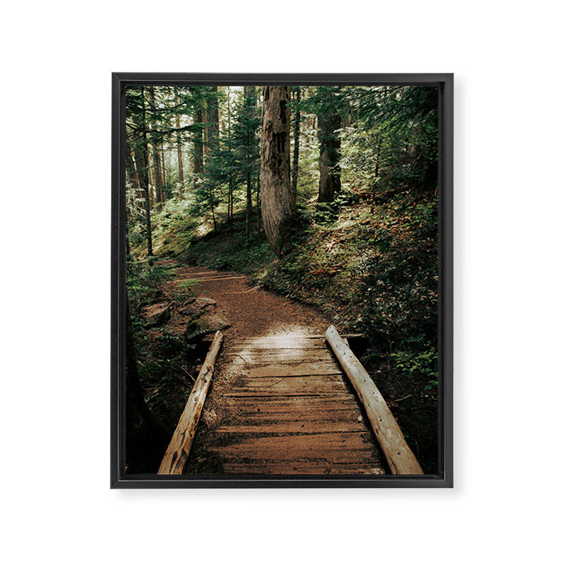 Follow Me Framed Canvas Print Gallery Image 3