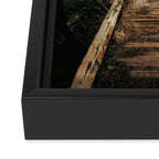 Follow Me Framed Canvas Print Gallery Image 3