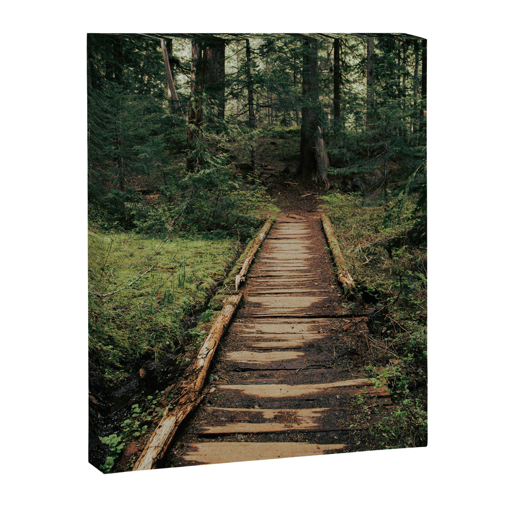 Follow Me II Canvas Print Gallery Image 6
