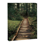 Follow Me II Canvas Print Gallery Image 6