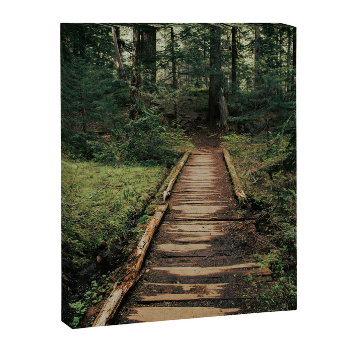 Follow Me II Canvas Print Gallery Image 1