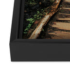 Follow Me II Framed Canvas Print Gallery Image 3
