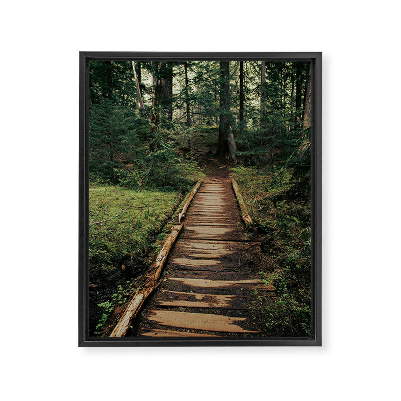 Follow Me II Framed Canvas Print Gallery Image 6