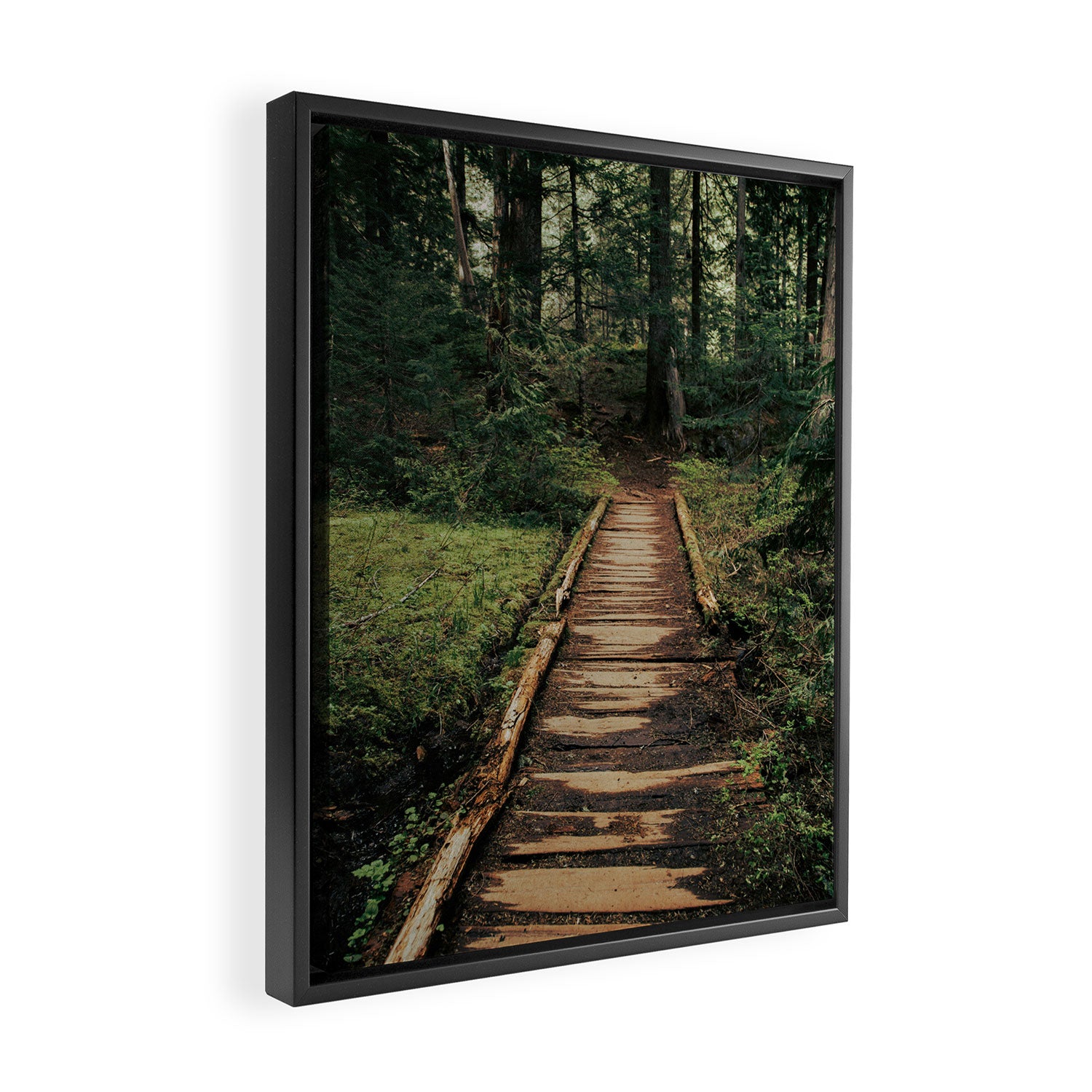 Follow Me II Framed Canvas Print Gallery Image 2