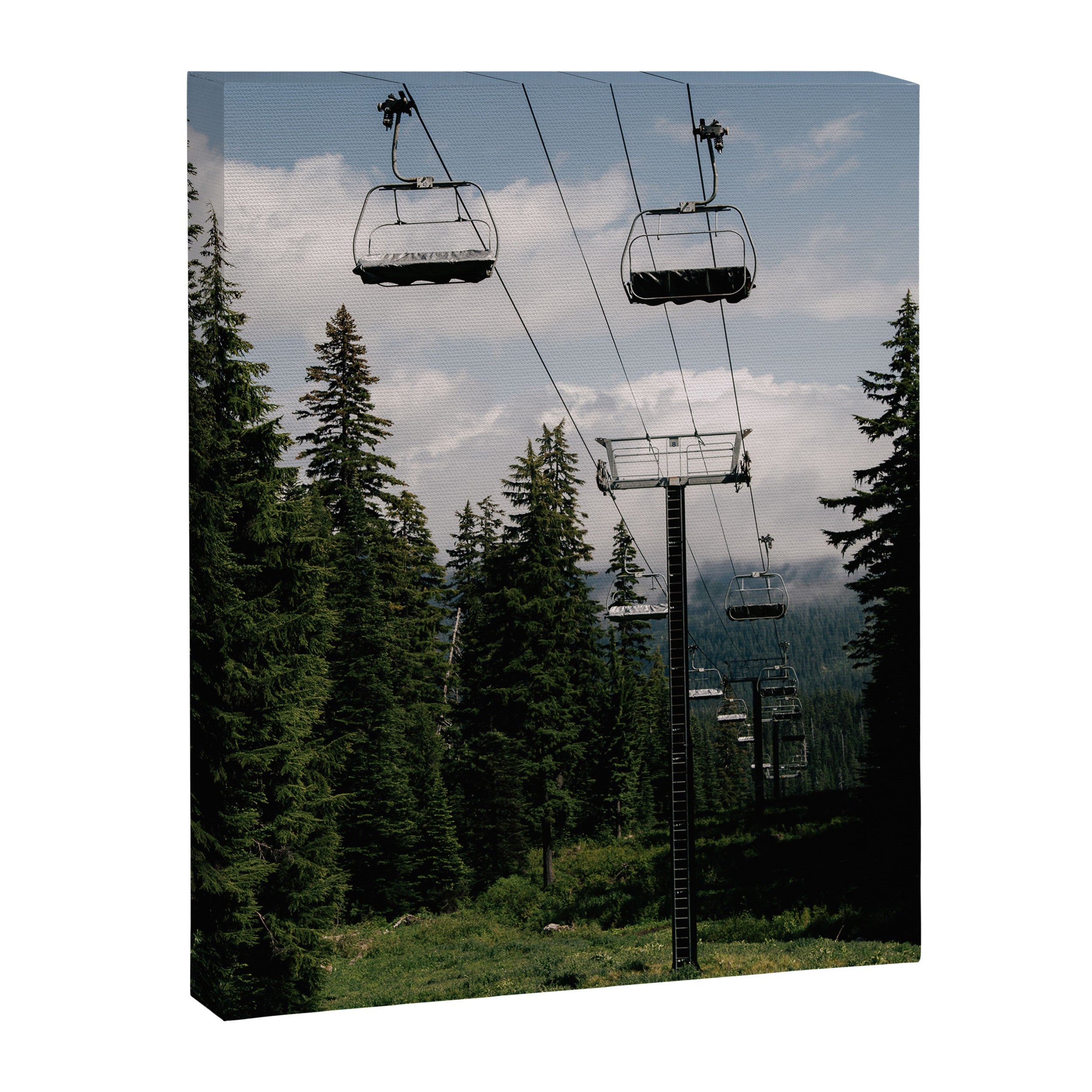 Forest Chairlift Canvas Print Gallery Image 6