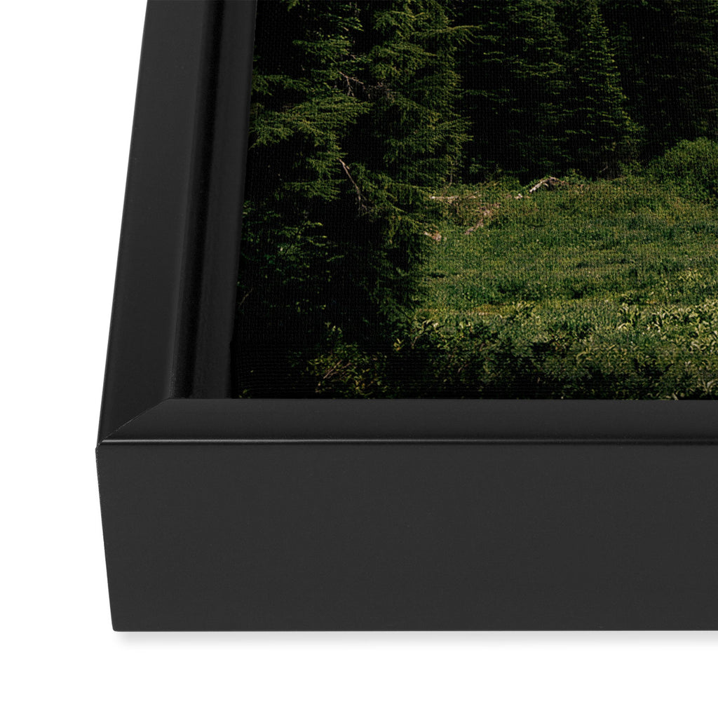 Forest Chairlift Framed Canvas Print Gallery Image 3