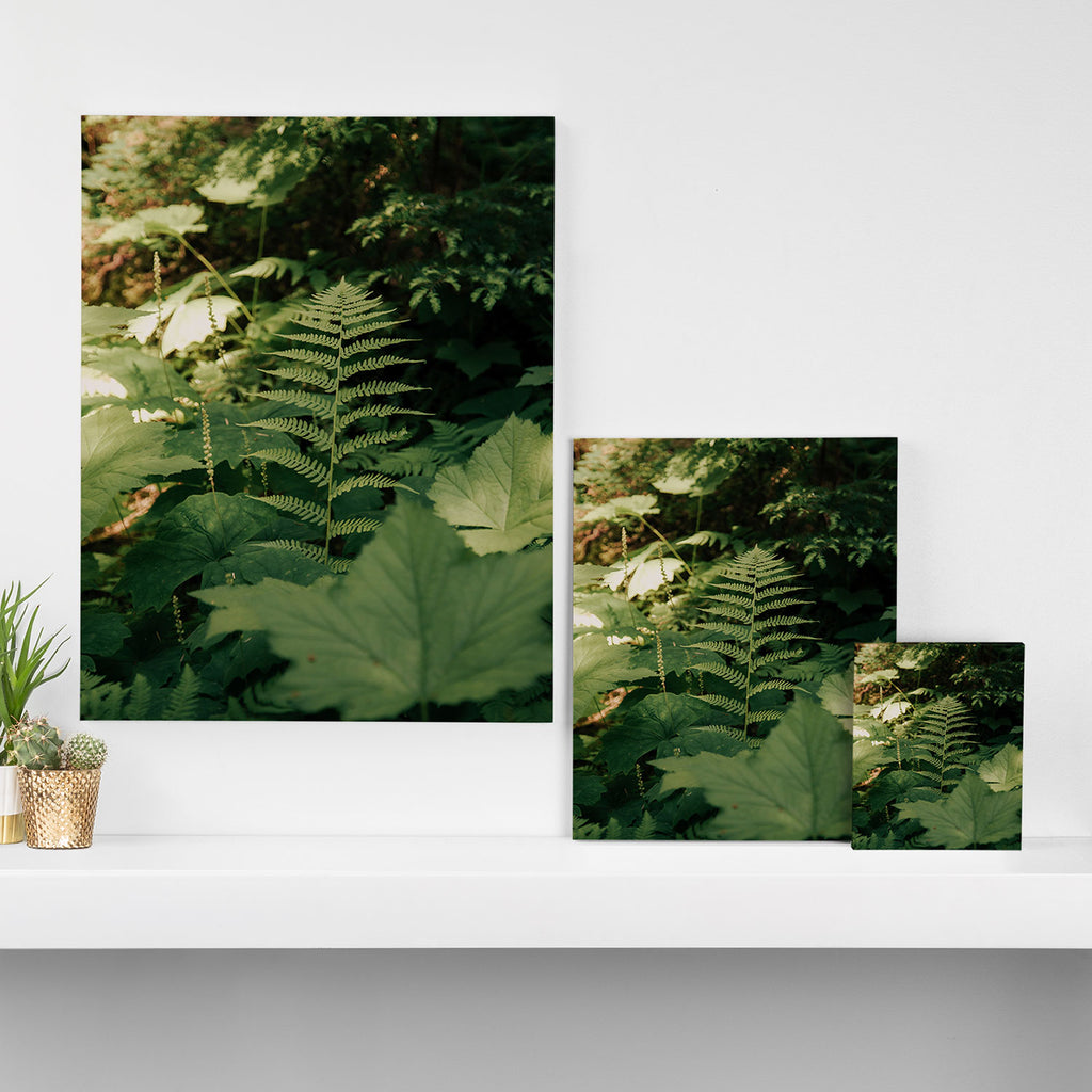 Forest Details Canvas Print Gallery Image 3