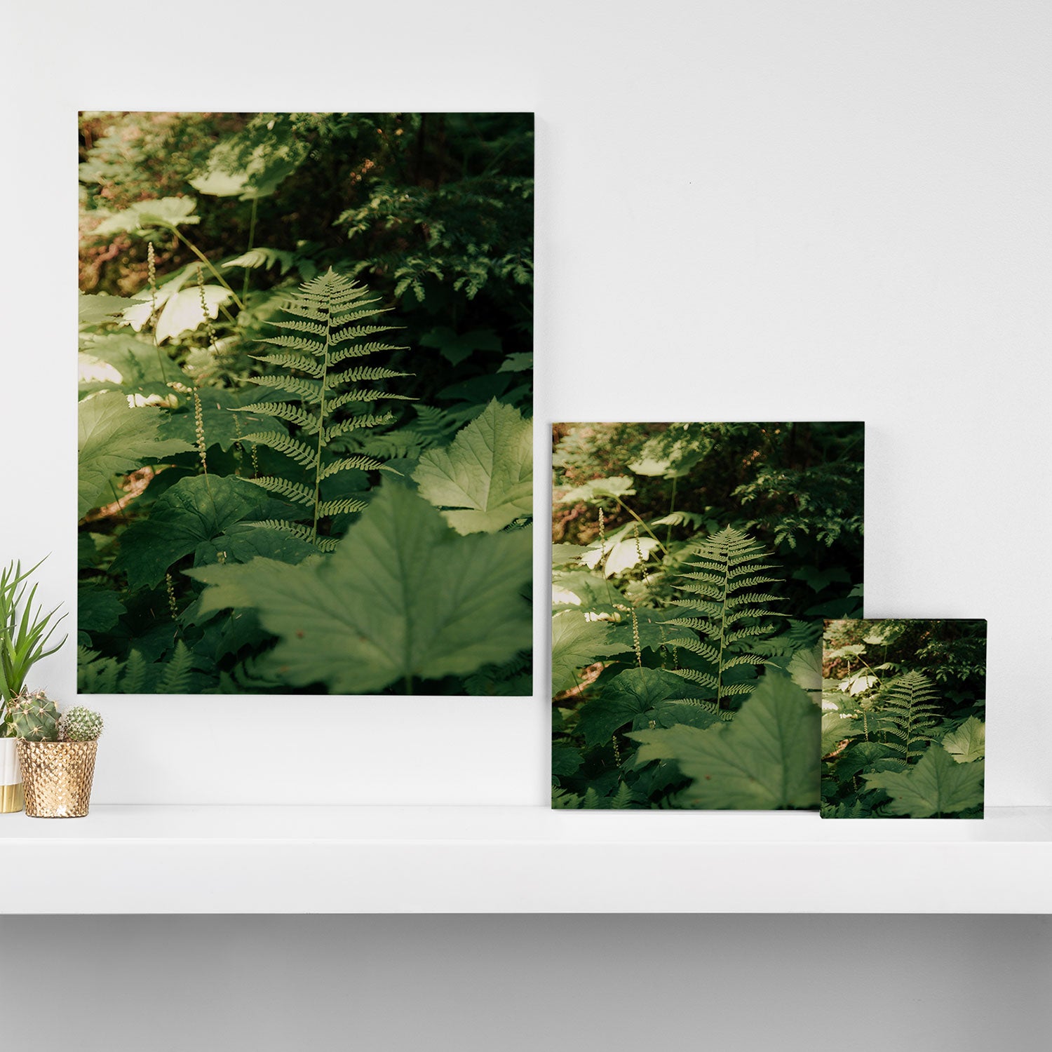 Forest Details Canvas Print Gallery Image 3