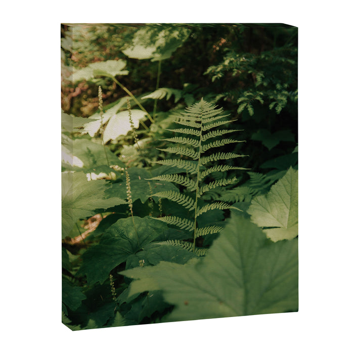 Forest Details Canvas Print Gallery Image 1
