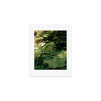 Forest Details Art Print Gallery Image 1