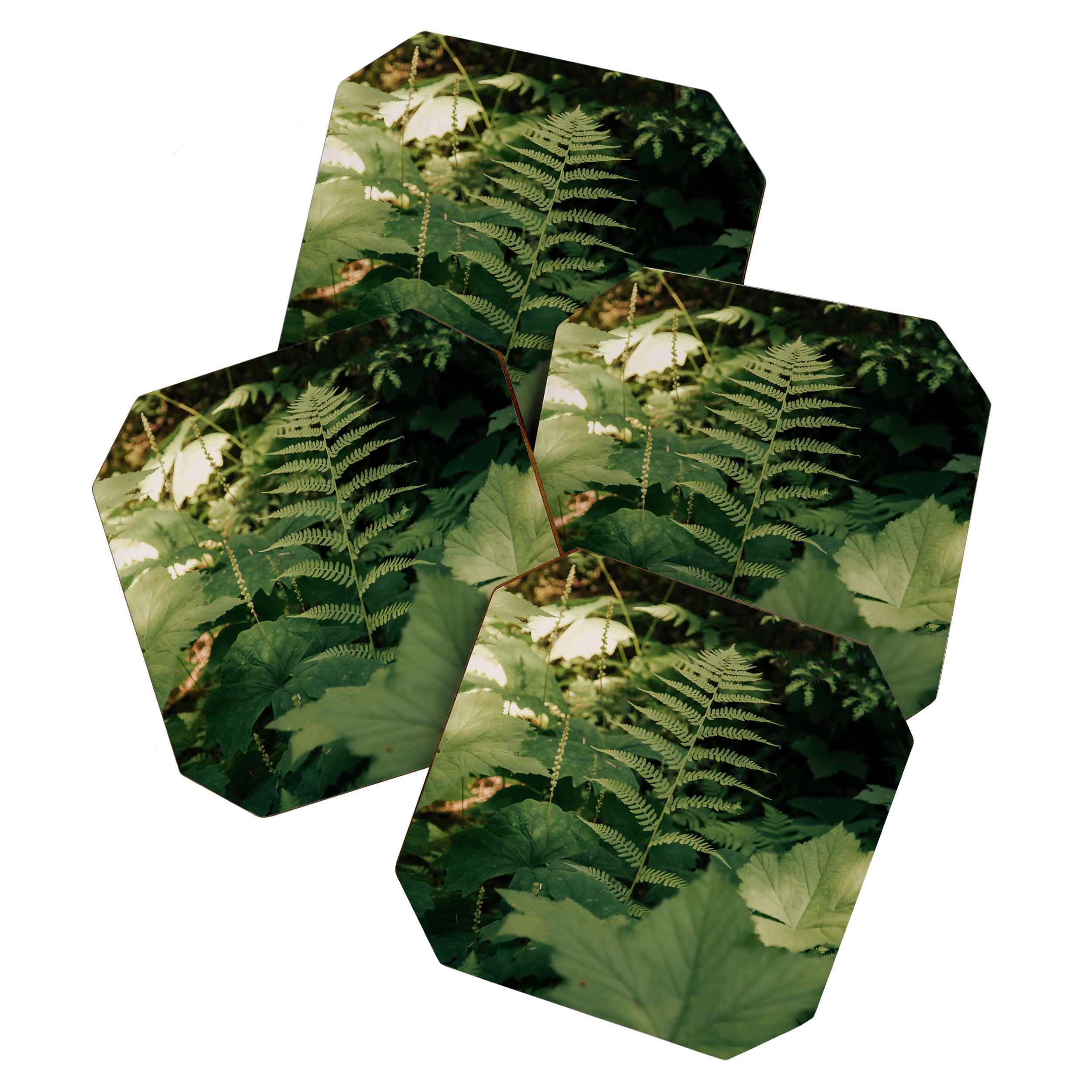 Forest Details Coaster Gallery Image 1