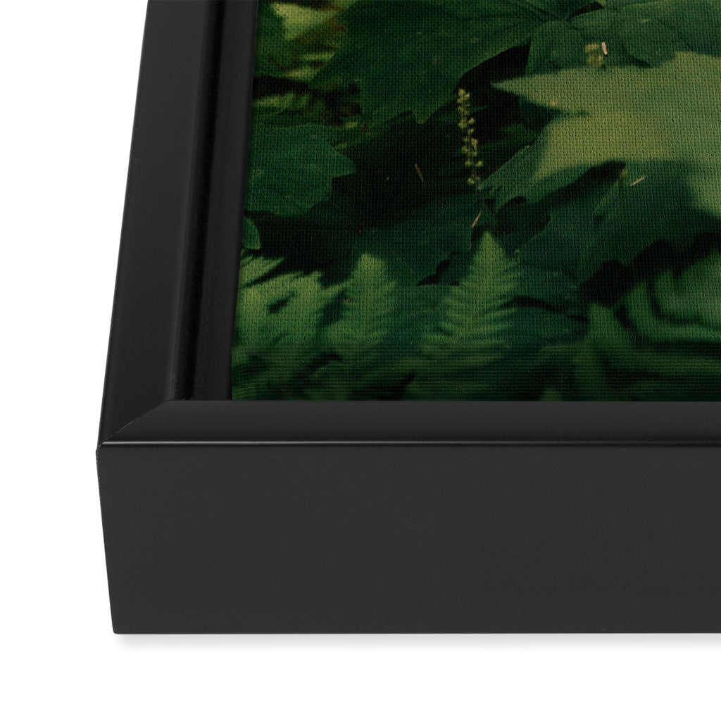 Forest Details Framed Canvas Print Gallery Image 3