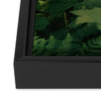 Forest Details Framed Canvas Print Gallery Image 3