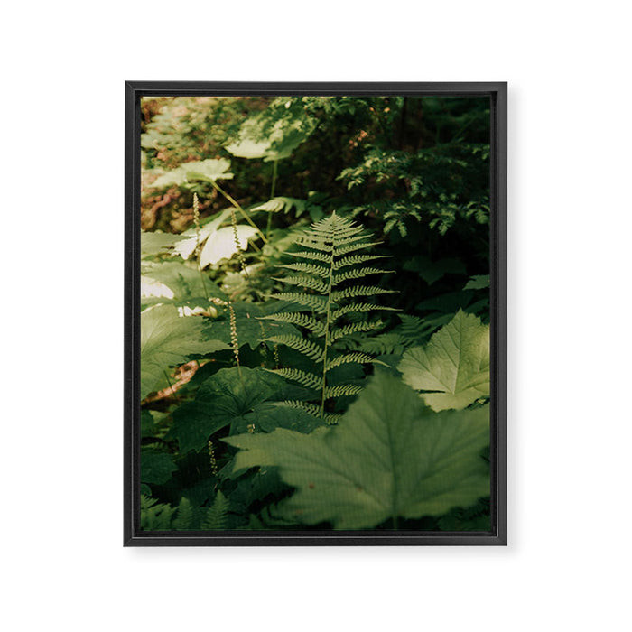 Forest Details Framed Canvas Print Gallery Image 1