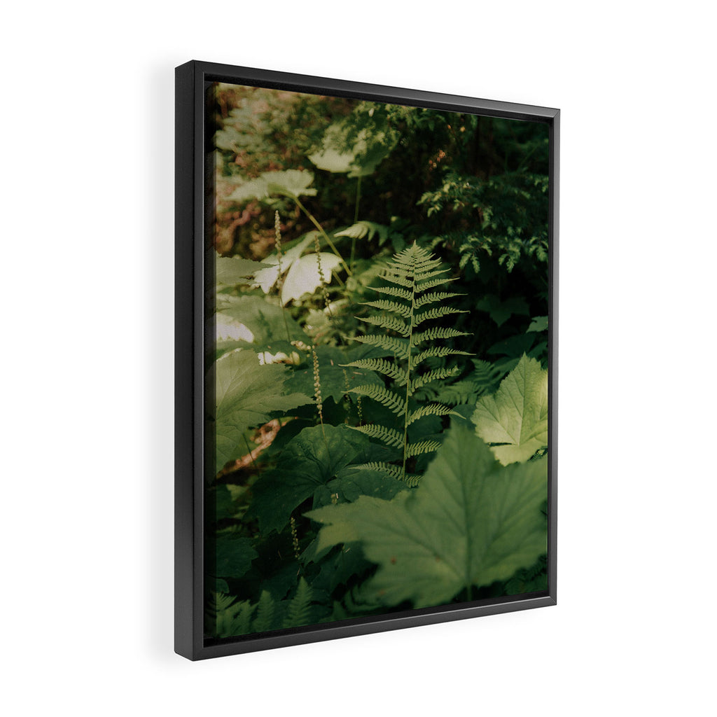 Forest Details Framed Canvas Print Gallery Image 2