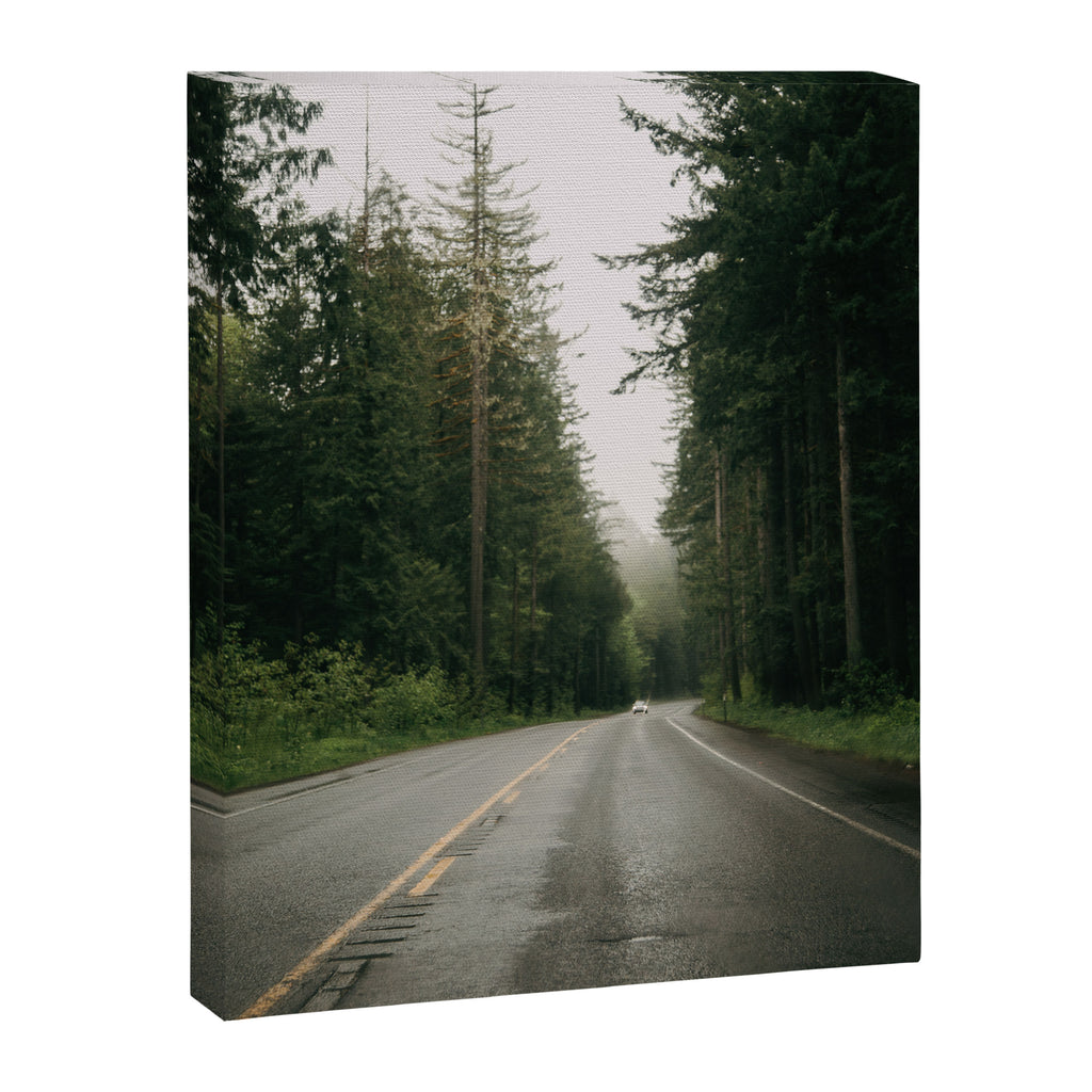 Forest Drive III Canvas Print Gallery Image 6