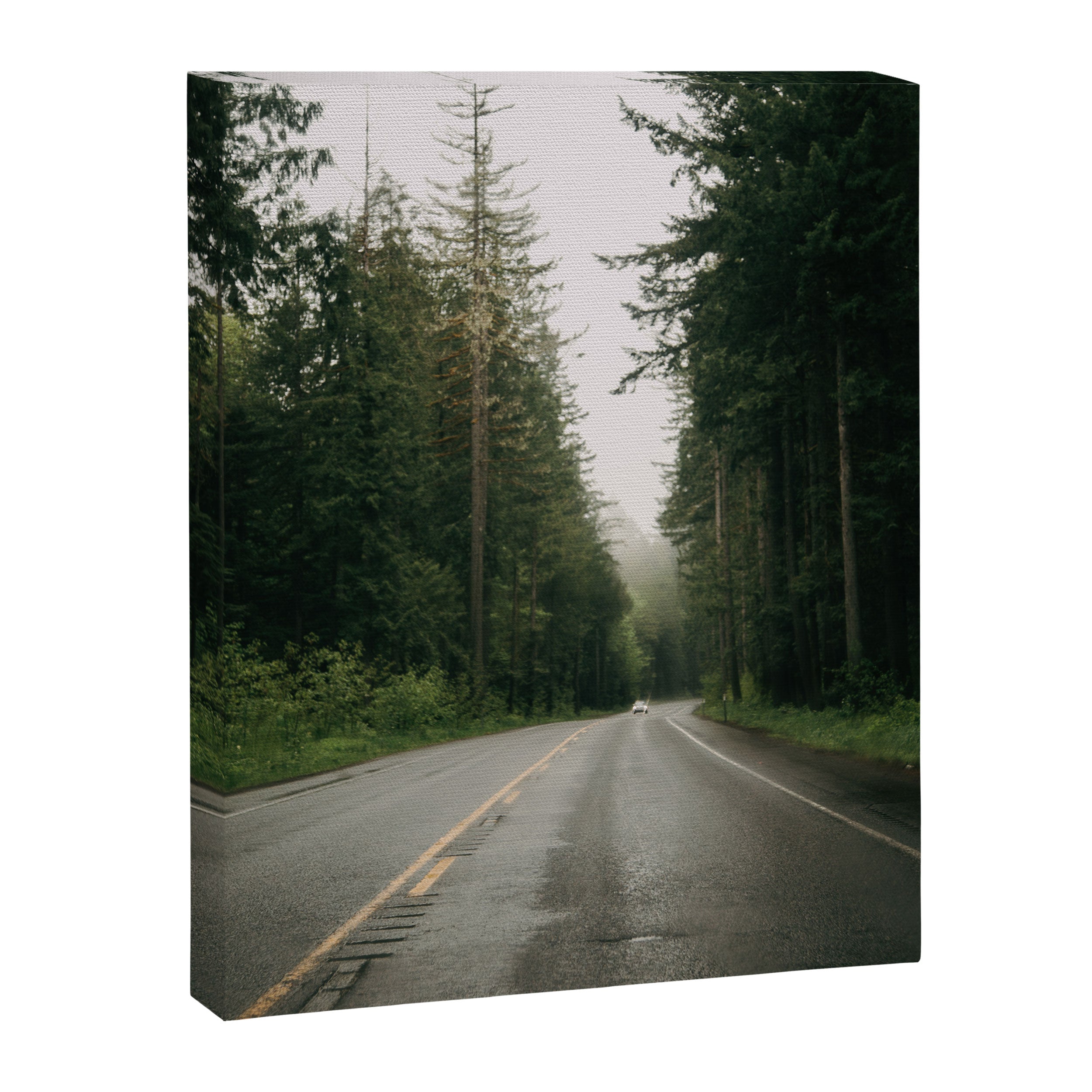 Forest Drive III Canvas Print Gallery Image 6